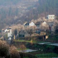 十堰市郧阳区樱桃沟村